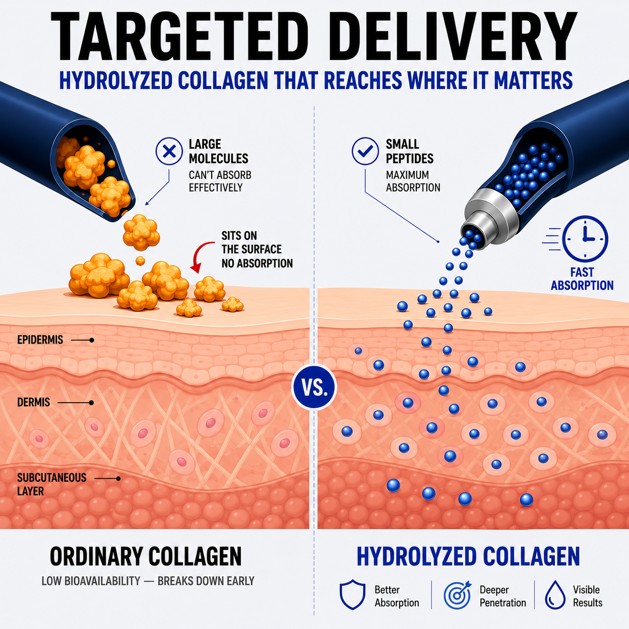 Advanced Multi-Collagen Support for Total Wellness.